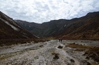 IMG 1355~photo