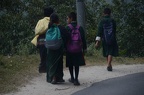IMG 1576~photo
