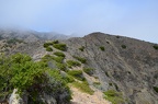 DSC 5710