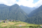 DSC 8285
